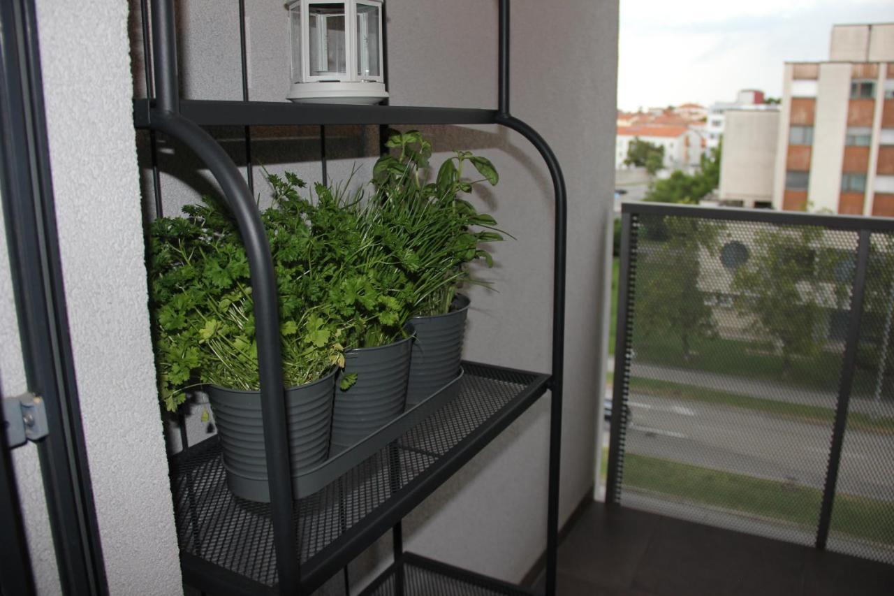 Sea Sun & Me Apartment Koper Zewnętrze zdjęcie
